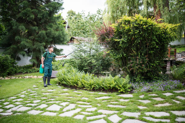 Best Pest Inspection Near Me  in Travis Ranch, TX