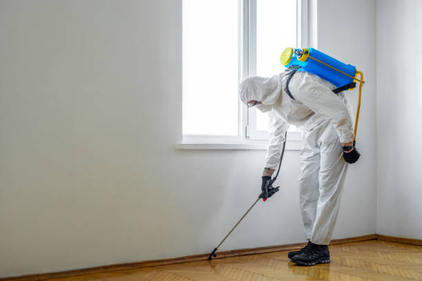 Best Flea Control Services  in Travis Ranch, TX
