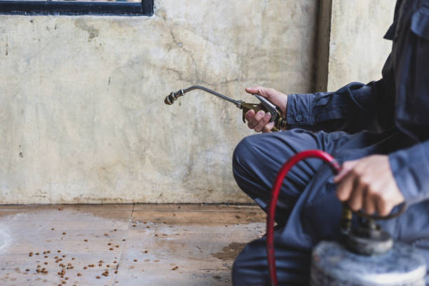 Best Flea Control Services  in Travis Ranch, TX